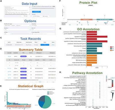 PTMsnp: A Web Server for the Identification of Driver Mutations That Affect Protein Post-translational Modification